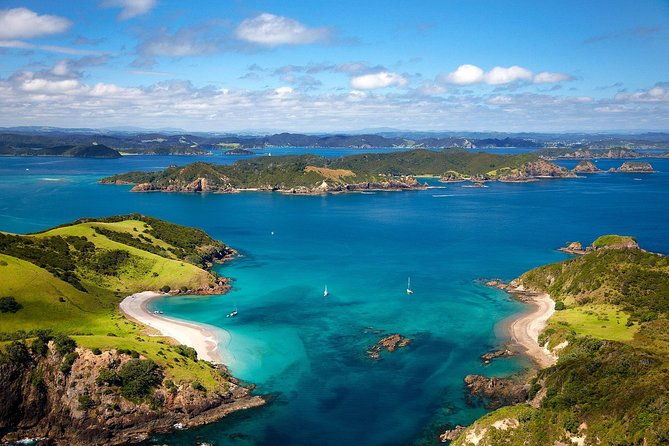 Group tour to Bay of Islands return from Auckland - The Value of This Experience