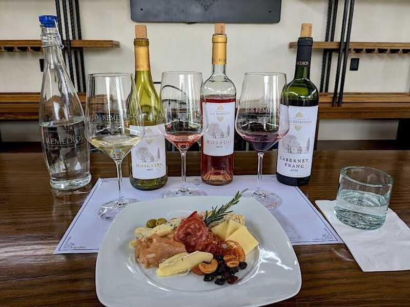 guanajuato-the-remedios-vineyard