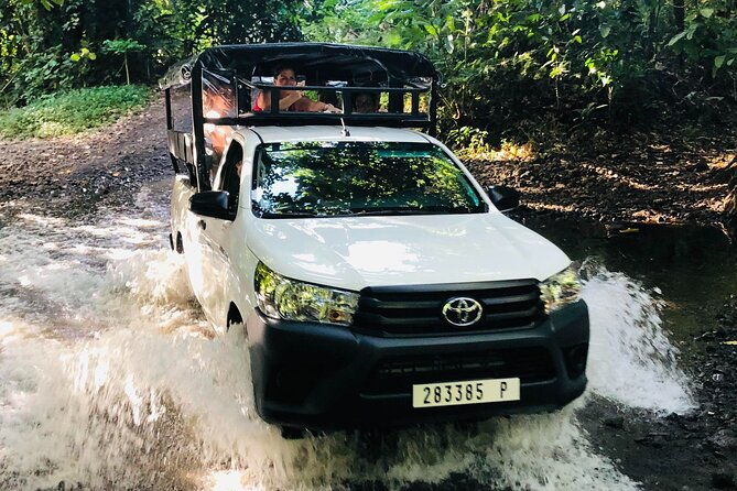 Guided Excursion in 4x4 in Moorea between Land and Sea - Final Thoughts