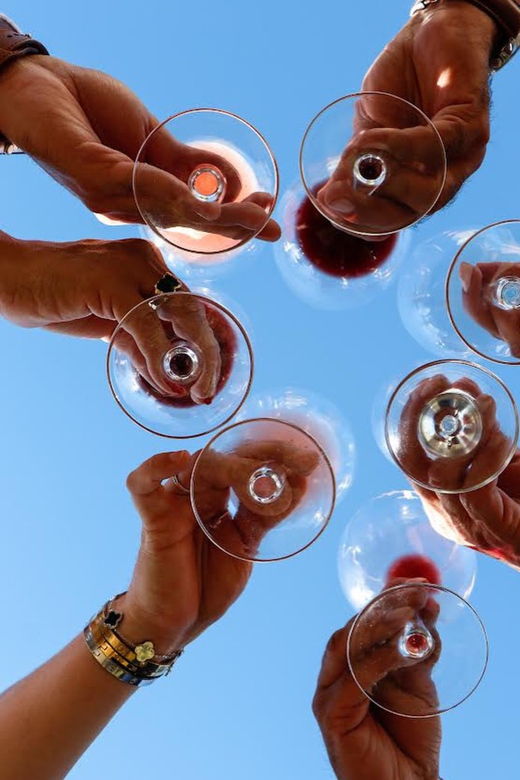 guided-tour-with-tasting-at-vinedo-los-arcangeles