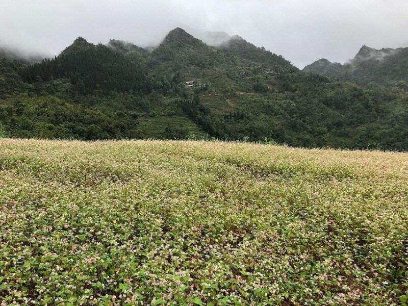 ha-giang-trekker-in-3d3n