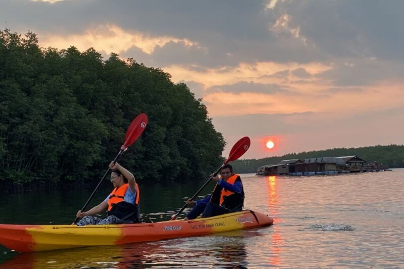 half-day-adventure-kayaking-at-mangrove-forest