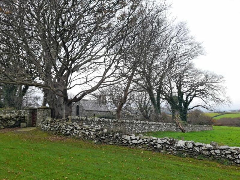 half-day-viking-and-celtic-heritage-tour