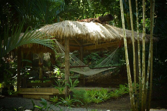 Halfday Private Mudpools,Veseisei Fijian Village,Sleeping Giants Garden&Shopping - Final Thoughts