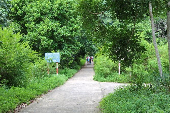 Halfday trekking Cat Ba Butterfly valley (more intense) - The Value Proposition