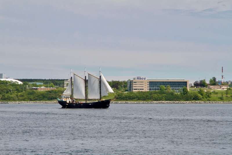 halifax-2-hour-tall-ship-harbor-sailing-cruise