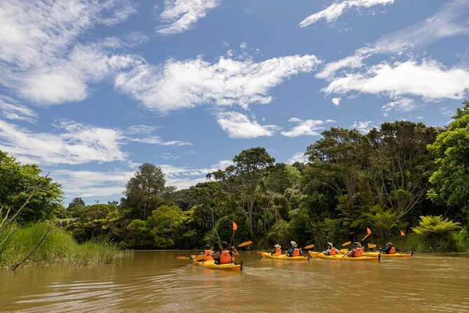 Hallertau Clevedon Kayak Tour - The Sum Up