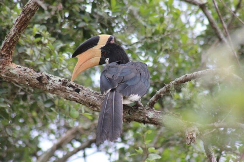 hambantota-port-cruise-yala-wildlife-safari-6-hours