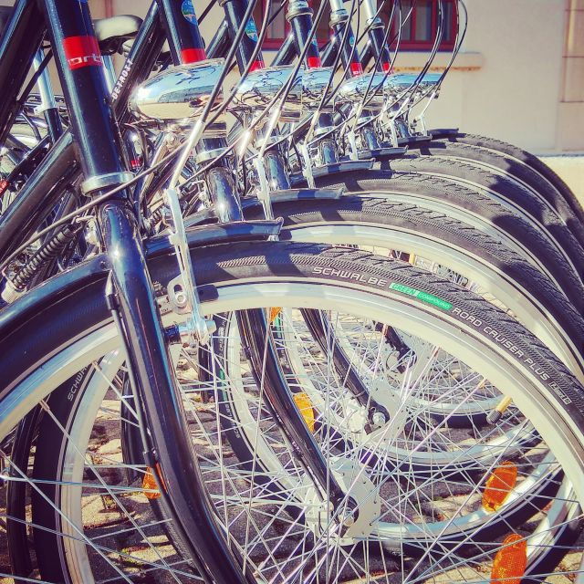 heidelberg-guided-bike-tour