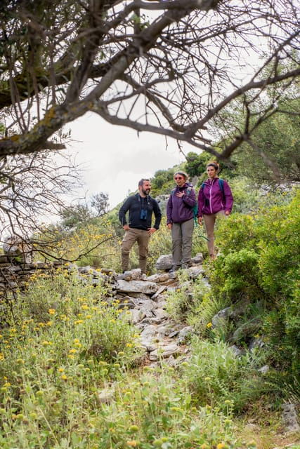 herbalism-and-wildlife-small-group-experience