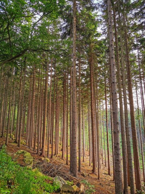 hike-in-polish-mountains-day-trip-to-rudawy-janowickie