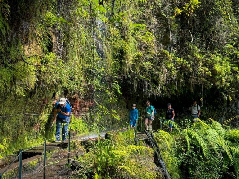 hiking-madeira-levada-do-rei-and-the-majestic-laurissilva