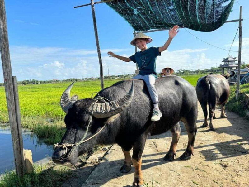 hoi-an-eco-bicycle-tour-with-basket-boat-ride-and-lunch