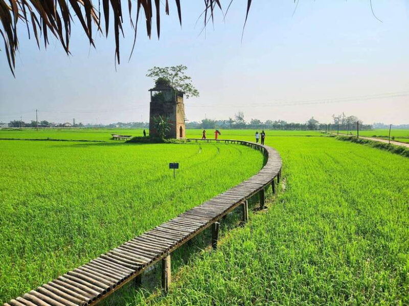 hoi-an-farming-and-fishing-tour-with-basket-boat-ride