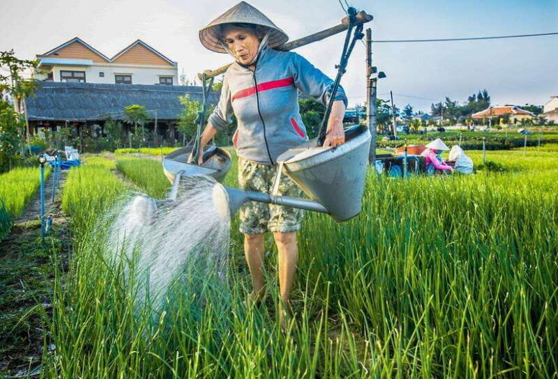 hoi-an-half-day-farm-to-table-adventure-in-tra-que-village