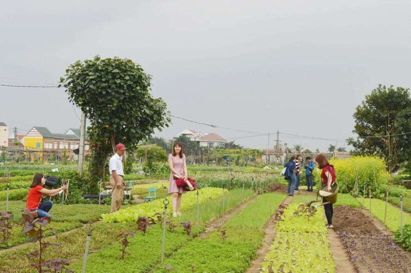 hoi-an-pottery-carpentry-and-farming-village-tour