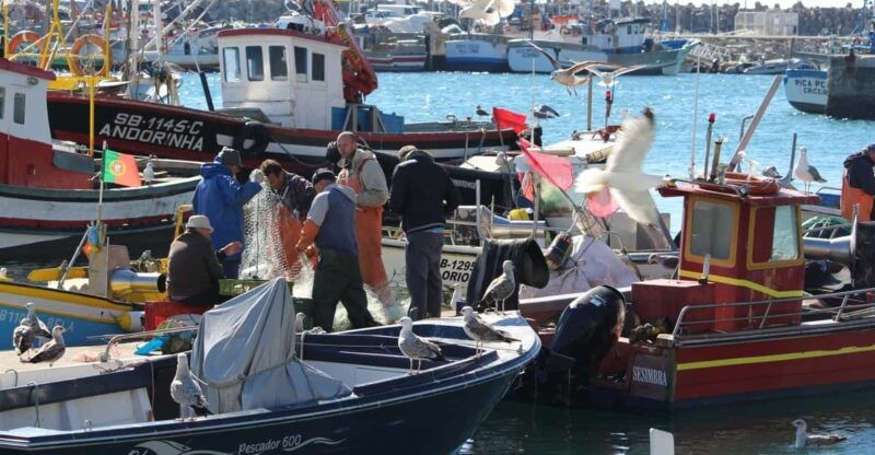 hooked-on-sesimbra-2
