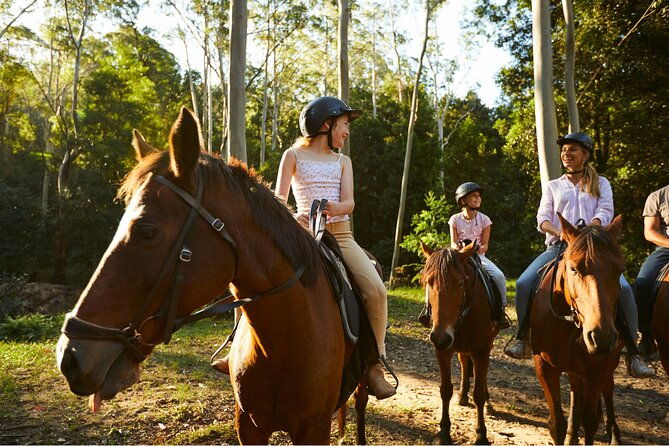 Horse Riding, Koalas & Kangaroos - Wild Australia: Private Tour - Horse Riding in Glenworth Valley