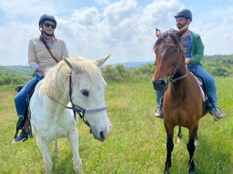 horseback-riding-tour-near-prague