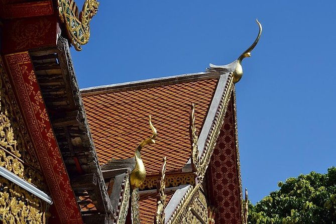 Hot! Doisuthep Temple+Wat Palad+Sticky waterfall - Who Should Consider This Tour?