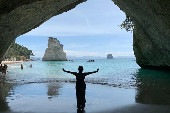 Hot Water Beach & Cathedral Cove Day Tour From Auckland - Who Will Love This Tour?
