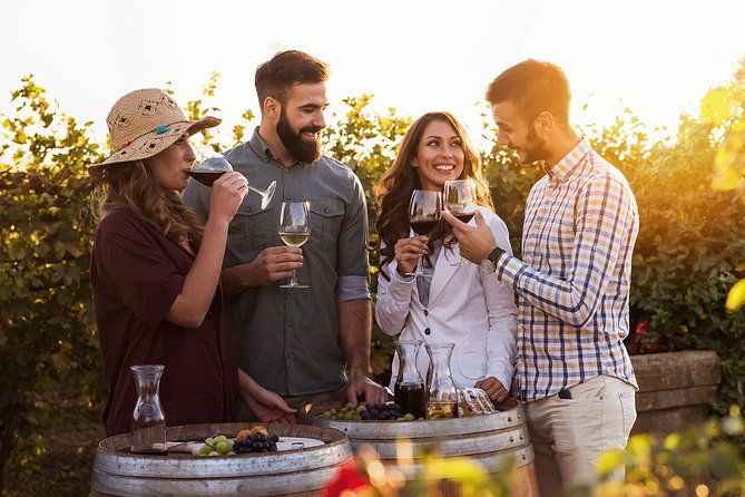 Hunter Valley Highlights Private Wine Tour from Sydney - Authentic Experiences & Authentic Review Insights