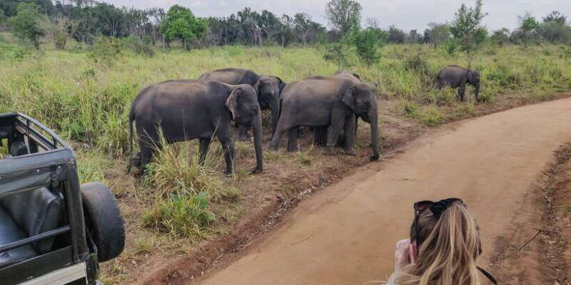 hurulu-eco-park-3-hour-morning-or-evening-safari