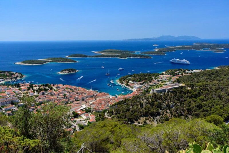 hvar-island-tour-with-wine-and-olive-oil-tasting