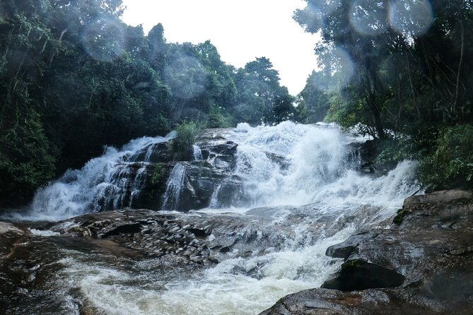 Inthanon National Park Tour with Soft Hike at Pha Dok Siew Trail - Authentic, Well-Organized, and Worth the Price