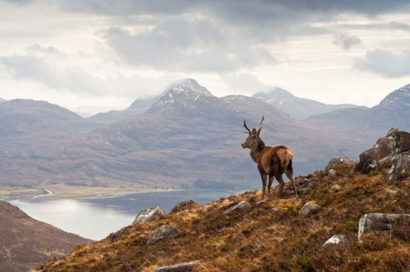 inverness-applecross-loch-carron-wild-highlands-day-tour