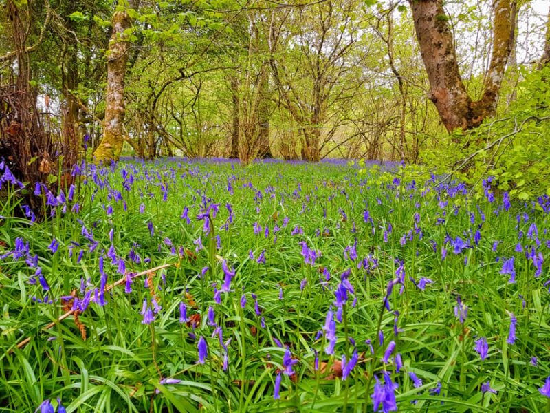 inverness-private-secret-hike-to-the-shores-of-loch-ness