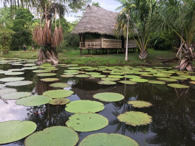 iquitos-2-days-and-1-night-guided-amazon-jungle-tour
