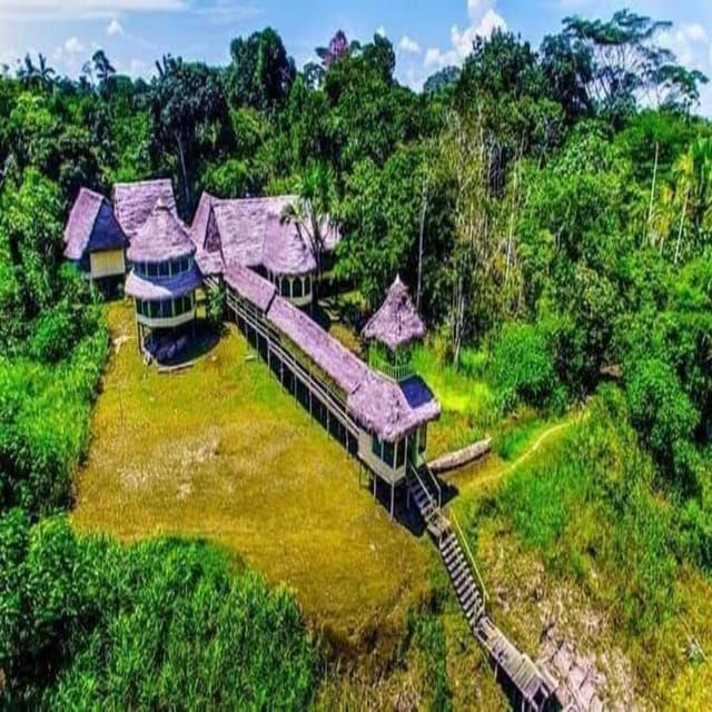 iquitos-3-day-jungle-wildlife-adventure-with-accommodation
