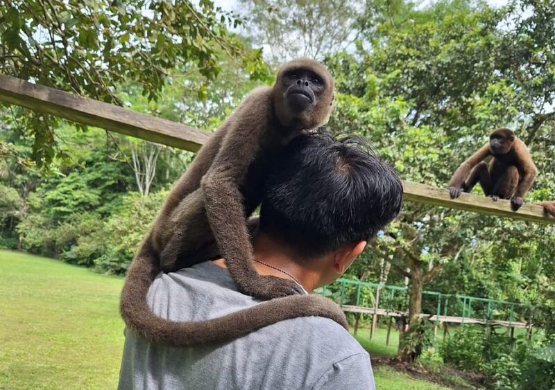 iquitos-full-day-visit-to-monkey-island-official
