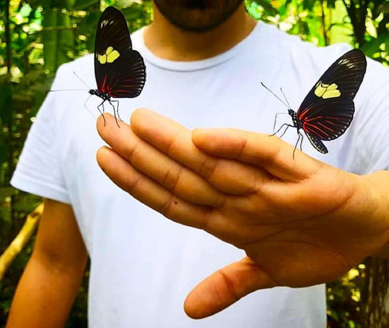 iquitos-pilpintuwasi-butterfly-farm-and-native-communities
