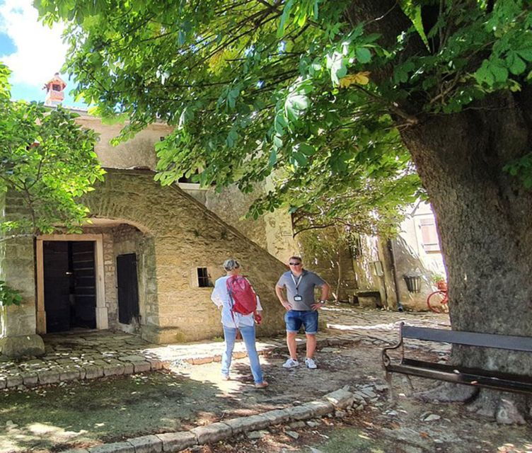 istria-guided-tour-of-inner-istria-with-food-tasting