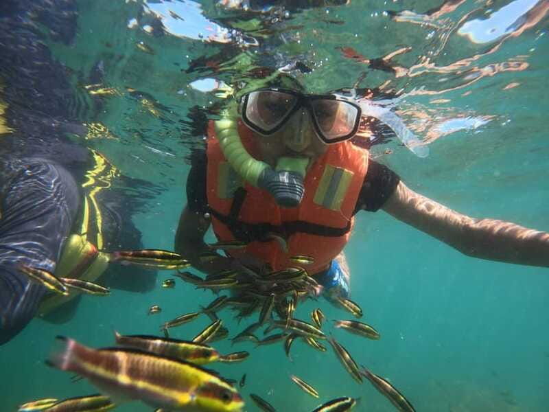 ixtapa-zihuatanejo-island-of-ixtapa-day-trip-with-lunch