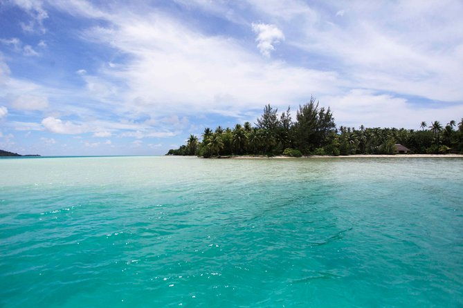 Janzu experience: massage and aquatic relaxation in the lagoon of Moorea - Comparing Janzu to Other Activities in Moorea