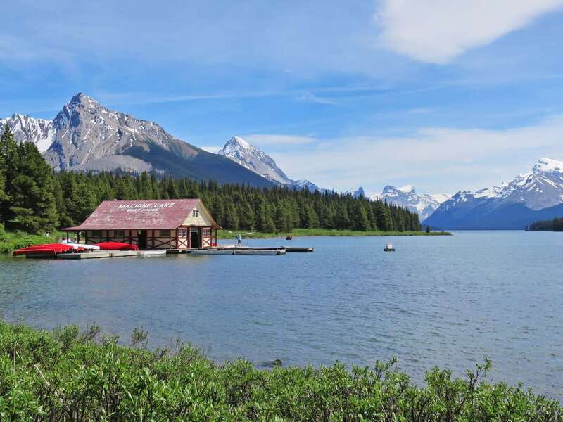 jasper-wildlife-and-waterfalls-tour-with-lakeshore-hike