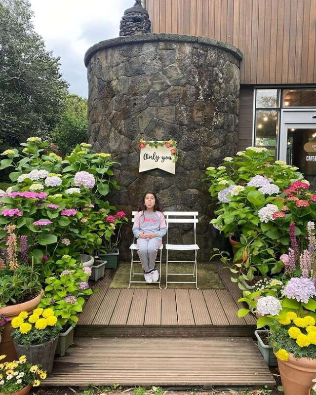 jeju-hidden-gem-all-inclusive-private-tourwestern-gems