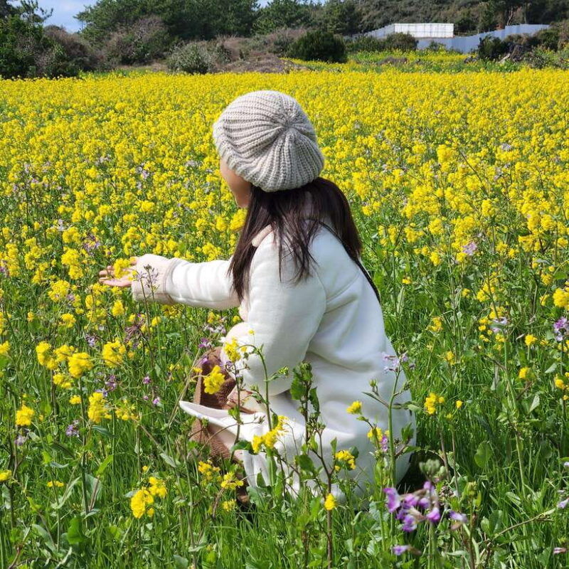 jeju-island-southern-top-unesco-spots-tour