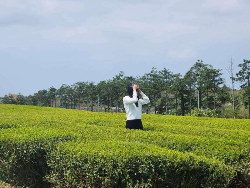 jeju-island-west-south-full-day-tour