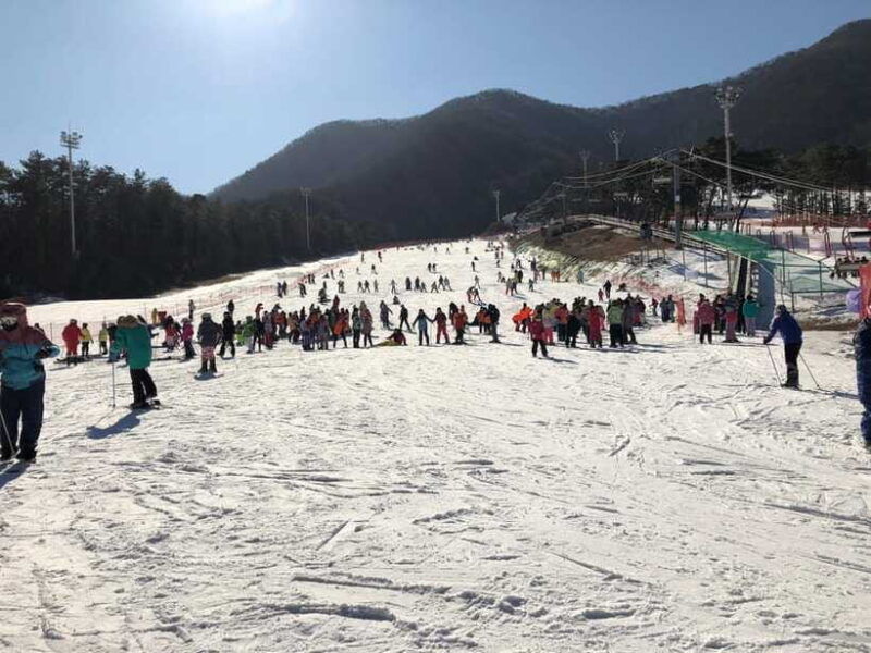 jisan-forest-ski-resort-one-day-tour