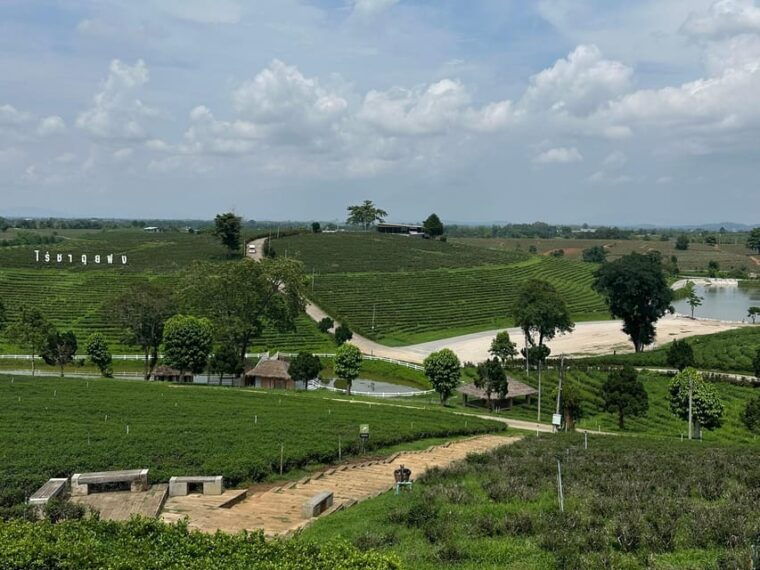 join-tour-1-day-trip-around-chiang-rai-included-lunch-buffet