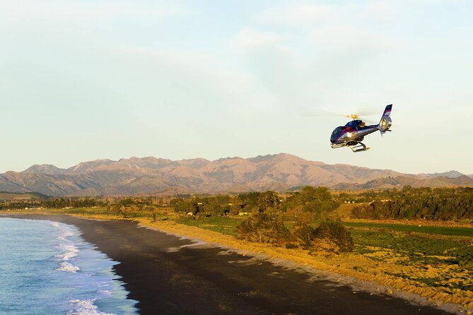 Kaikoura Whales - Frequently Asked Questions