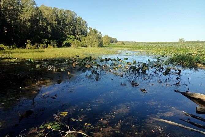 Kakadu Day Tour-Yellow Water-Nourlangie-Ubirr-Cahills-Fogg Dam - The Sum Up: Who Will Love This Tour?