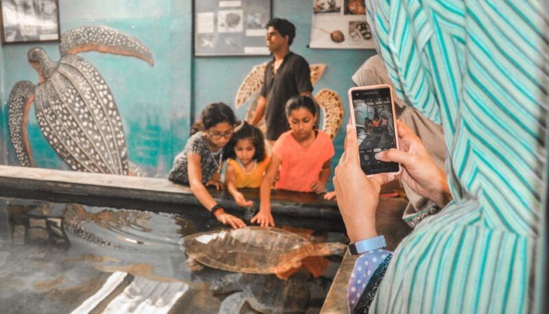 kalutara-turtle-hatchery-visit-boat-safari-and-galle-tour