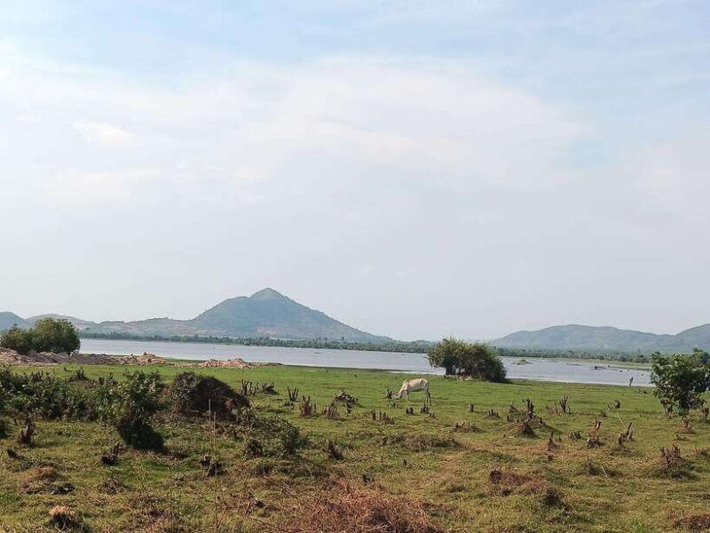 kampot-countryside-tour-include-pepper-farm-by-tuktuk