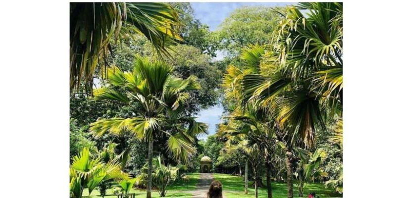 kandy-city-ambuluwawa-day-tour