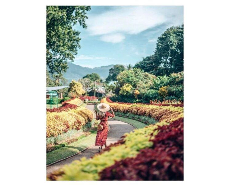 kandy-city-tuk-tuk-day-tours-with-a-local-guide